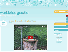 Tablet Screenshot of grackle.momcom.net